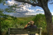 Man on Bench