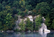 Fahnestock Foliage