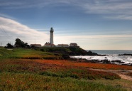 Lighthouse & Iceplants