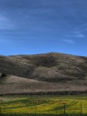 Pacifica Hills