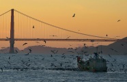 Golden Gate & Fishing Boat